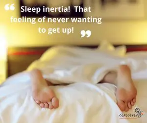 Sleep inertia, a serious problem Anandi The Sleep Guru circadian rhythm and sleep