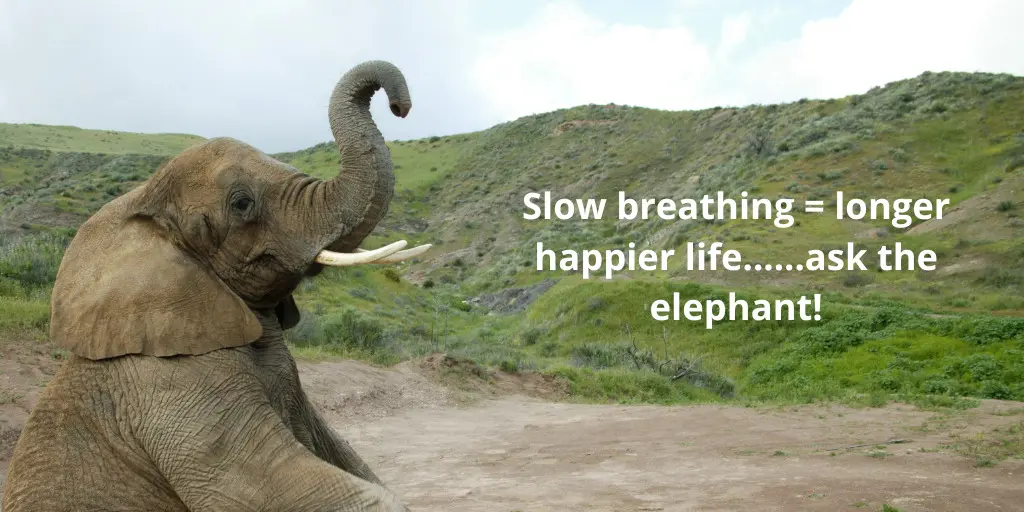 Breath control stress relief