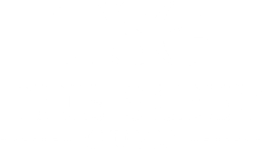 The Sleep Guru